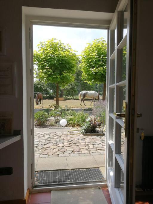 Ferienwohnung Xanadi Heilehaus Kleine Auszeit Kururlaub Bruchhausen-Vilsen Exterior foto